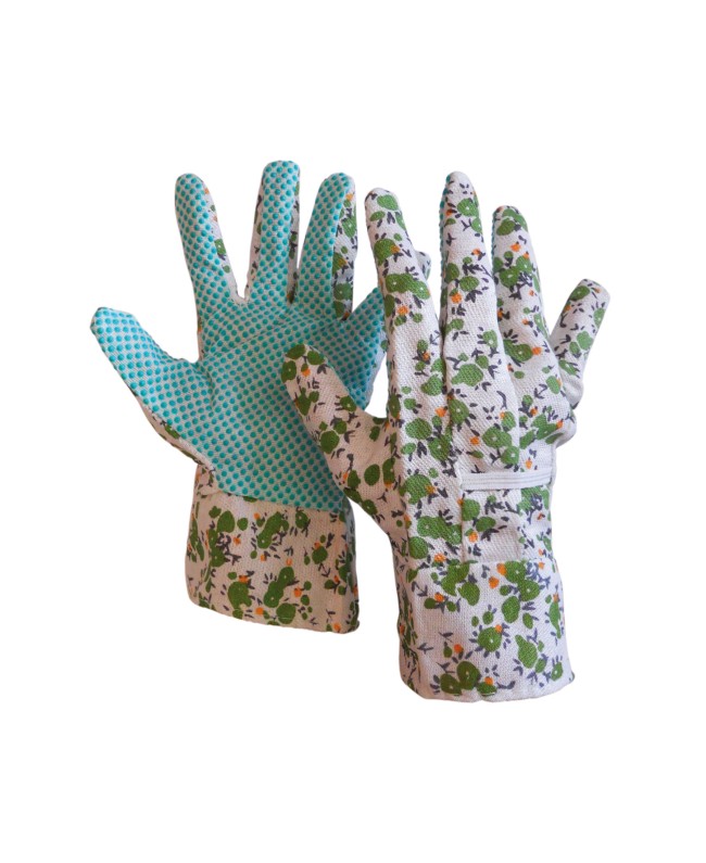 ΓΑΝΤΙΑ ΚΗΠΟΥ