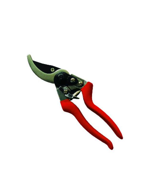 ΨΑΛΙΔΙ ΚΛΑΔΟΥ KAMIHAKI