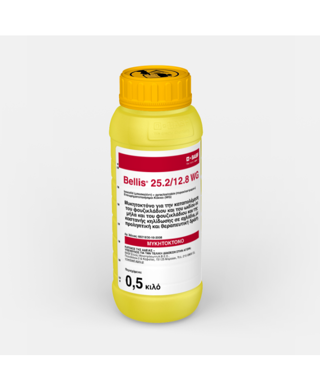 Bellis 25,2/12,8 WG 500gr Bellis 25,2/12,8 WG 500gr