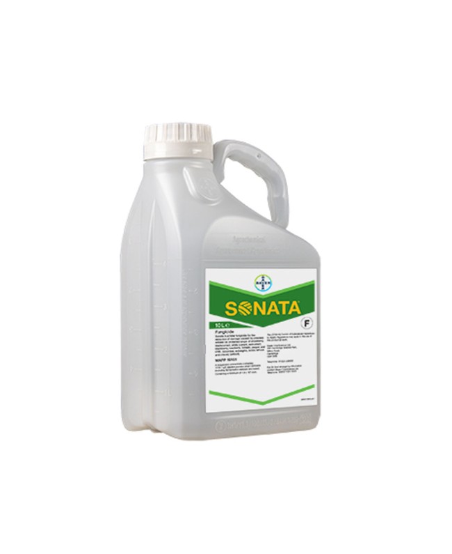 SONATA SC 5lt SONATA SC 5lt