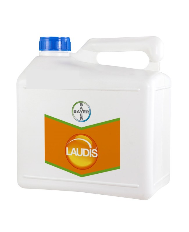 Laudis WG 1,5kg Laudis WG 1,5kg